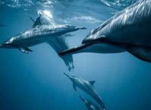 开云体育官网-纵相俱乐部| 许双双：上半马第四冠，期待首全马